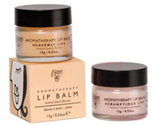 bloom liquid foundation